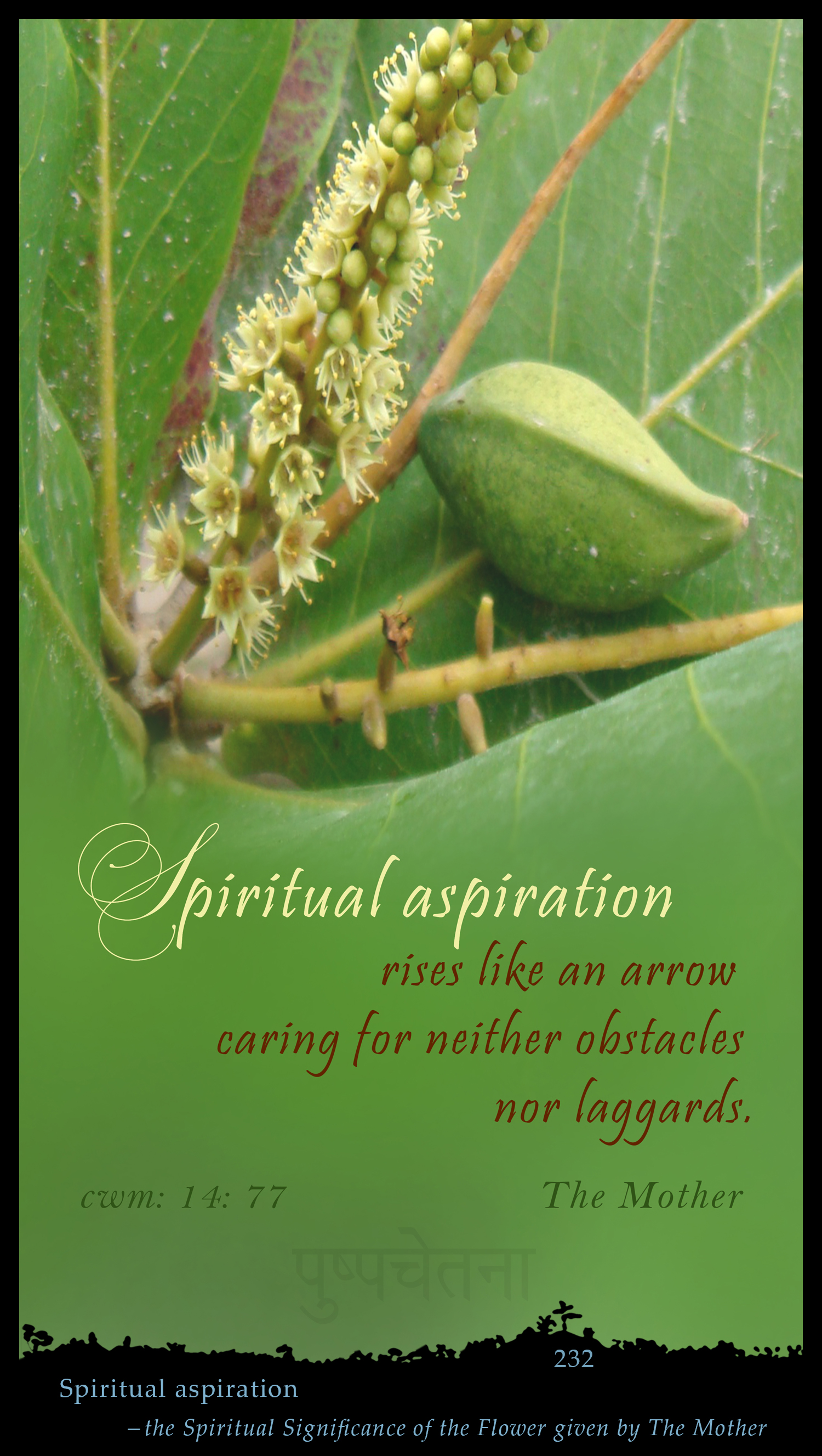 Spiritual Aspiration